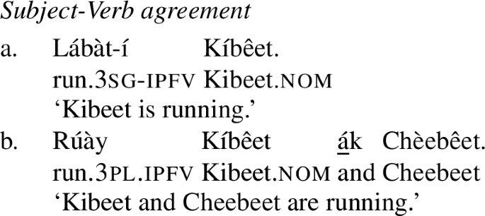 Number Based Noun Classification Springerlink