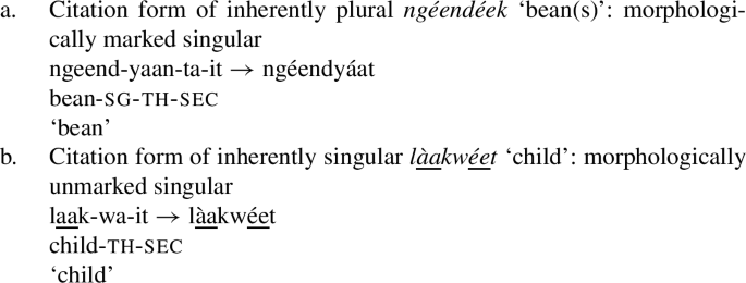 Number-based noun classification | SpringerLink