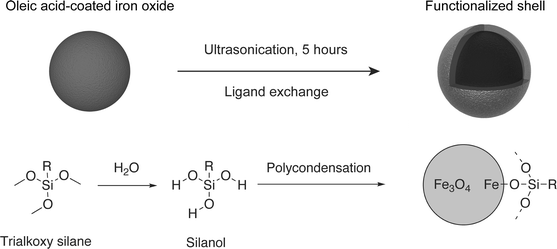 Improved functionalization of oleic acid-coated iron oxide nanoparticles  for biomedical applications | SpringerLink