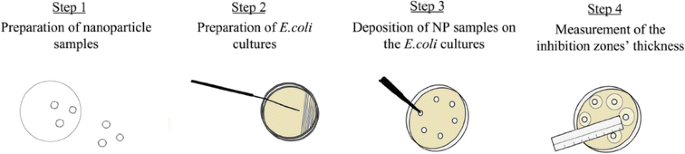 Can disc diffusion susceptibility tests assess the antimicrobial activity  of engineered nanoparticles? | SpringerLink