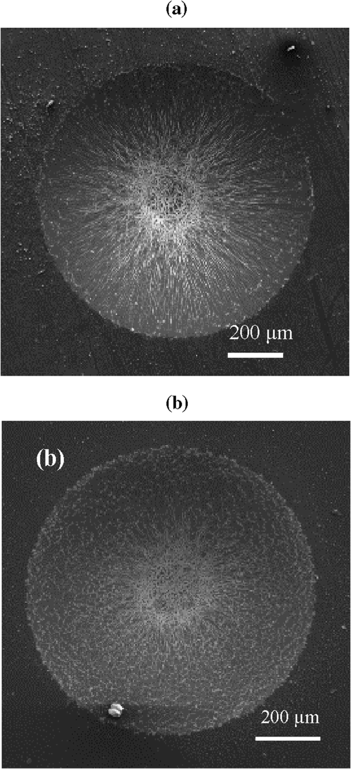 Cvd Diamond Nanoparticle Synthesis For Dlc Film Application Springerlink