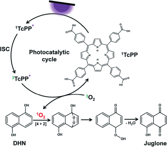 Photodegradation of 1,5DHN to juglone as a compound, using a metalloporphyrin