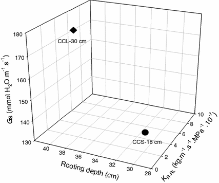 Perspectives In Dryland Restoration Approaches For Climate Change Adaptation Springerlink