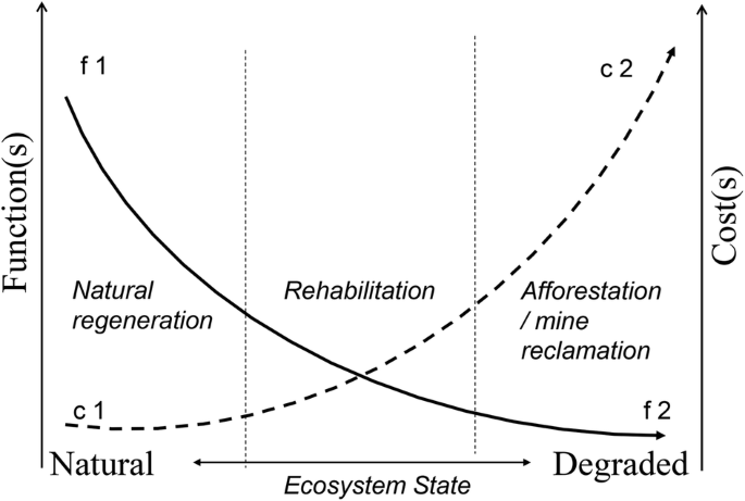 research paper on forest resources figure 1