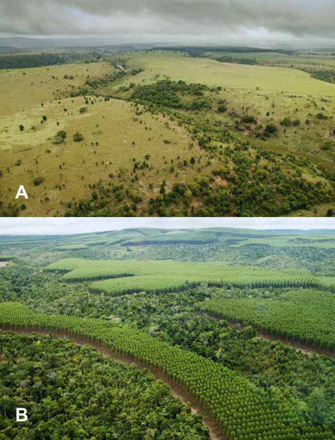 research paper on forest resources figure 2
