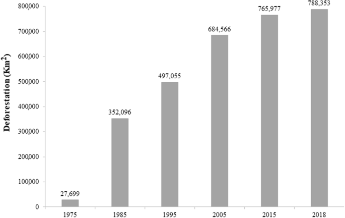 An Overview Of Forest Loss And Restoration In The Brazilian Amazon Springerlink