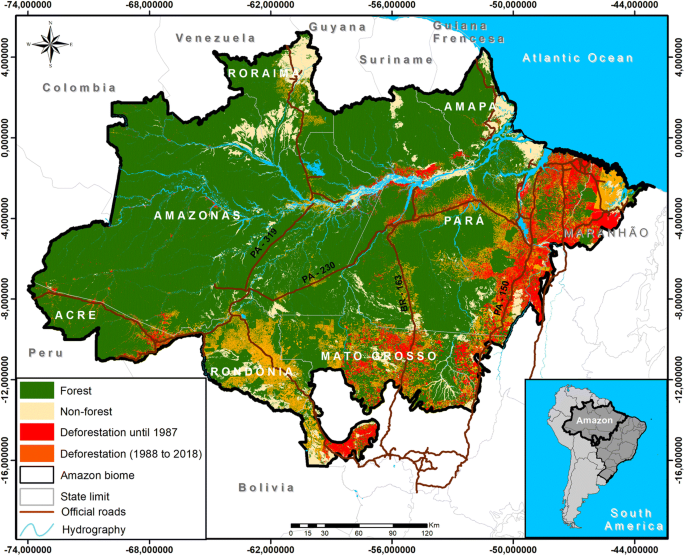 An overview of forest loss and restoration in the Brazilian Amazon |  SpringerLink