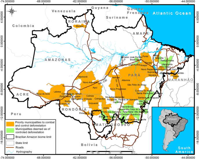 An Overview Of Forest Loss And Restoration In The Brazilian Amazon Springerlink