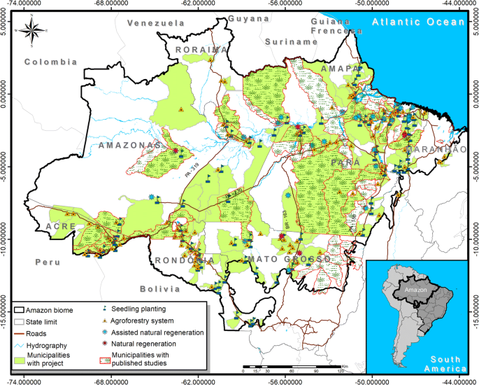 An Overview Of Forest Loss And Restoration In The Brazilian Amazon Springerlink