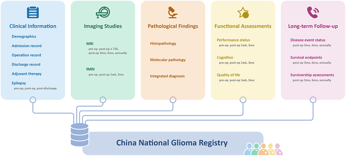 China National Glioma Registry (CNGR): protocol for a prospective ...