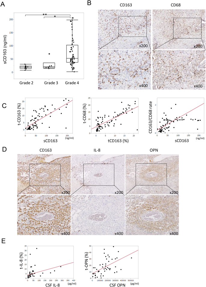 Tumor-associated M2 macrophages shape the cerebrospinal fluid ...