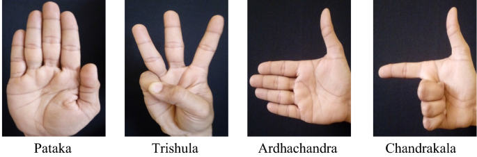 Bharatanatyam mudras asamyuta hastas Bharatanatyam mudras asamyuta hastas