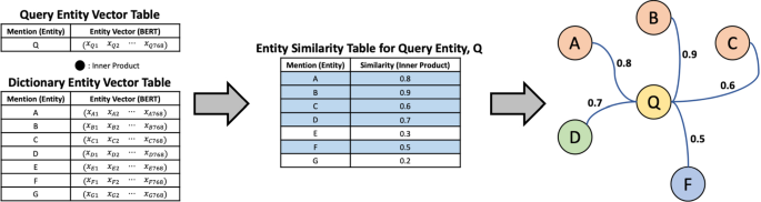 Biomedical named entity normalization via interaction-based