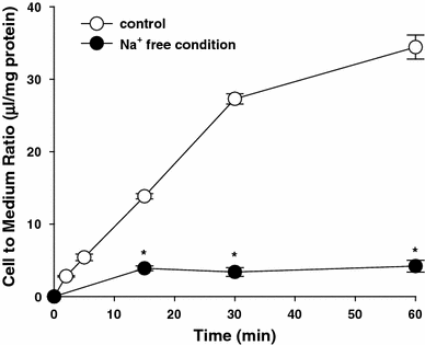 acetyl-l-carnitine vs donepezil & Alzheimer's: Treating Inflammation, Not the Disease Full article: Donepezil in Alzheimer's
