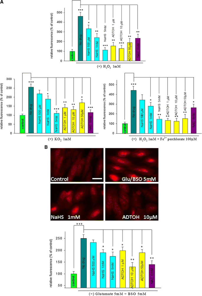 Slow Regulated Release of H 2 S Inhibits Oxidative Stress Induced 