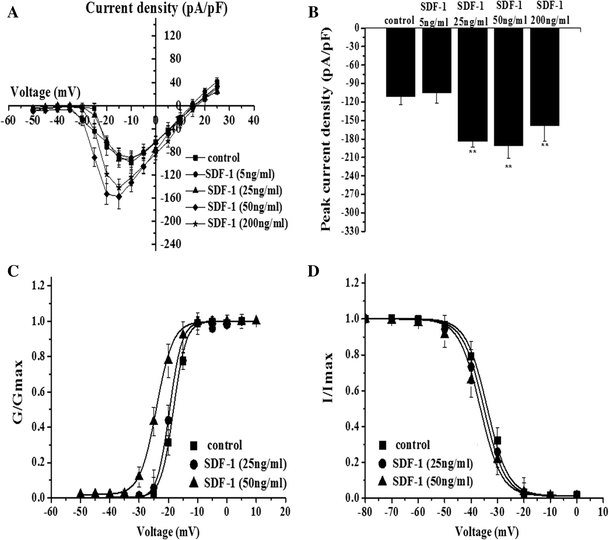 The Chemokine CCL2 Increases Nav1.8 Sodium Channel Activity in Primary  Sensory Neurons through a Gβγ-Dependent Mechanism