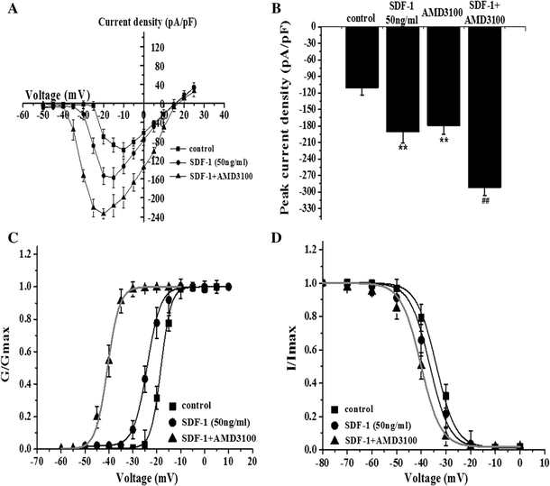 The Chemokine CCL2 Increases Nav1.8 Sodium Channel Activity in Primary  Sensory Neurons through a Gβγ-Dependent Mechanism