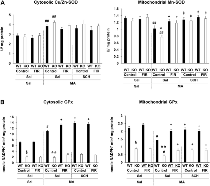 Exposure to Far Infrared Ray Protects Methamphetamine-Induced Behavioral  Sensitization in Glutathione Peroxidase-1 Knockout Mice via Attenuating  Mitochondrial Burdens and Dopamine D1 Receptor Activation | Neurochemical  Research | Springer Nature Link
