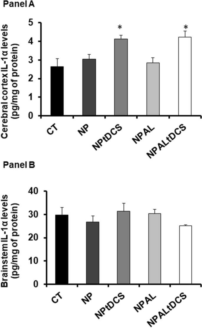Transcranial Direct Current Stimulation Tdcs Induces Analgesia In Rats With Neuropathic Pain And Alcohol Abstinence Springerlink