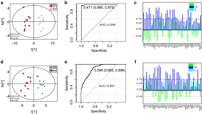 Correction To Protective Effects Of 28 O Cafeoyl Betulin B Ca On The Cerebral Cortex Of Ischemic Rats Revealed By A Nmr Based Metabolomics Analysis Springerlink