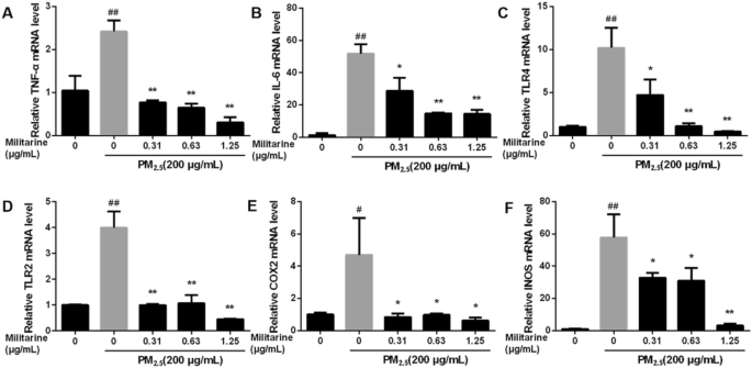 Role Of Militarine In Pm 2 5 Induced Bv 2 Cell Damage Springerlink