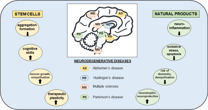 Natural Bioactive Molecules as Neuromedicines for the Treatment/Prevention  of Neurodegenerative Diseases