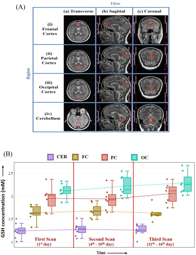 Longitudinal Monitoring of Glutathione Stability in Different  Microenvironments | Neurochemical Research | Springer Nature Link