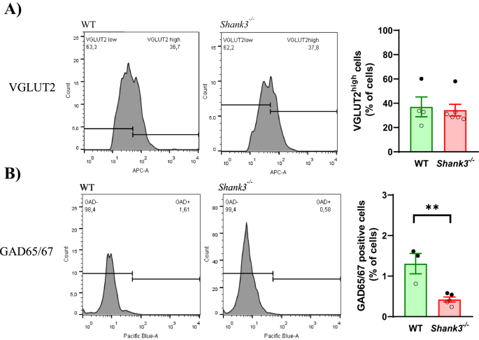 Altered Inhibitory Synaptic Transmission and Changes in GABAergic ...