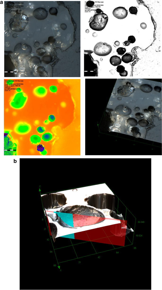 lsm.jpg4.us | imagesize: isl-015" 3D imaging of volcanic ash using the confocal microscope; a comparison of  natural fragments and experimentally vesiculated volcanic glass | Natural  Hazards