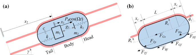 Modelling Of A Vibro Impact Self Propelled Capsule In The Small Intestine Springerlink