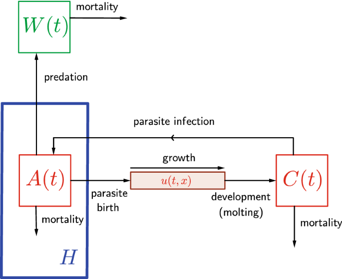 Industrial Machinery Design