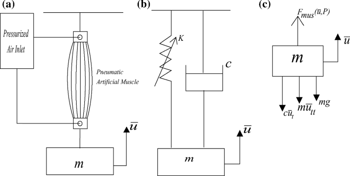 Dynamic Analysis Of Pneumatic Artificial Muscle Pam Actuator For Rehabilitation With Principal Parametric Resonance Condition Springerlink