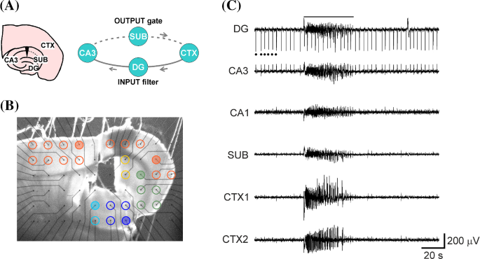 figure 15