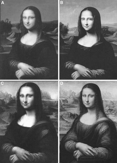 Seeing Double Leonardo S Mona Lisa Twin Springerlink