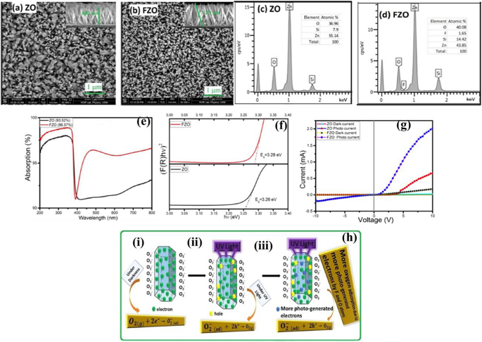 The Role of Doping and Passivation in Improving ZnO Photodetector ...