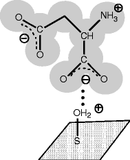 scheme 4