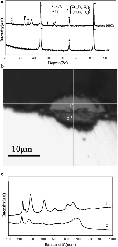 High Temperature Oxidation Behavior Of Crmov F91 And Mar M247 Superalloys Exposed To Laboratory Air At 550 C Springerlink