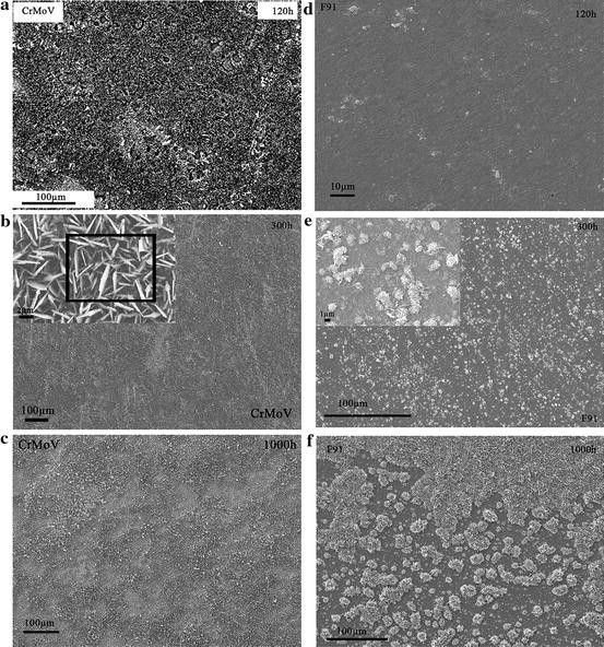 High Temperature Oxidation Behavior Of Crmov F91 And Mar M247 Superalloys Exposed To Laboratory Air At 550 C Springerlink
