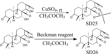 scheme 5