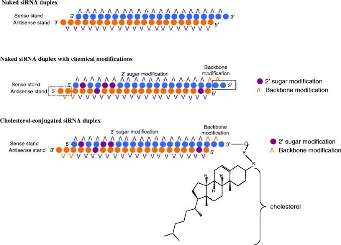 Rnai For Treating Hepatitis B Viral Infection Springerlink