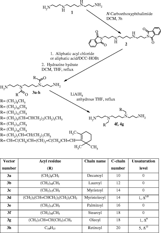 Design And Synthesis Of N 4 N 9 Disubstituted Spermines For Non Viral Sirna Delivery Structure Activity Relationship Studies Of Sifection Efficiency Versus Toxicity Springerlink
