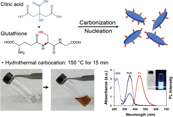 Development of Thiolated-Graphene Quantum Dots for Regulation of ROS in  macrophages | Pharmaceutical Research | Springer Nature Link