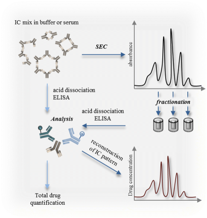 Generation Characterization And Quantitative Bioanalysis Of Drug Anti Drug Antibody Immune Complexes To Facilitate Dedicated In Vivo Studies Springerlink