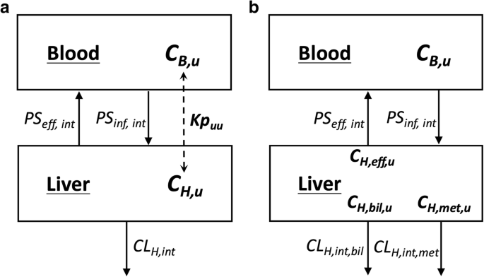 Challenging the Relevance of Unbound Tissue-to-Blood Partition Coefficient  ( Kp uu ) on Prediction of Drug-Drug Interactions | SpringerLink