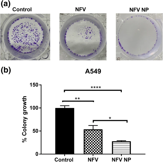 Clonogenic Assay