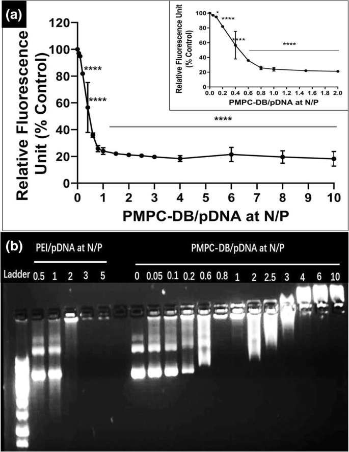 Dna Polyplexes Of A Phosphorylcholine Based Zwitterionic Polymer For Gene Delivery Springerlink