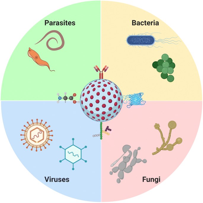 Highlights In Mesoporous Silica Nanoparticles As A Multifunctional Controlled Drug Delivery Nanoplatform For Infectious Diseases Treatment Springerlink