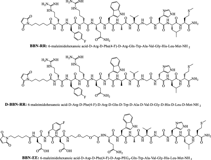In Vitro Evaluation And Biodistribution Studies Of Hpma Copolymers Targeting The Gastrin Releasing Peptide Receptor In Prostate Cancer Springerlink