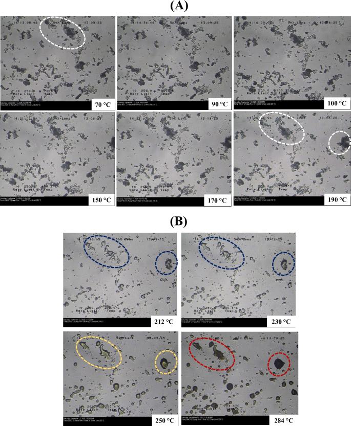 semaglutide temperature stability Thermally Stressed Solid-State Stability of Semaglutide: Understanding the  Influence of Temperature on Protein Content, Secondary Structure, Phase  Transition, and Chemical Degradation | Pharmaceutical Research