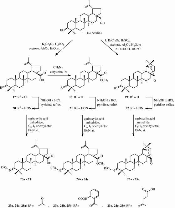 scheme 3